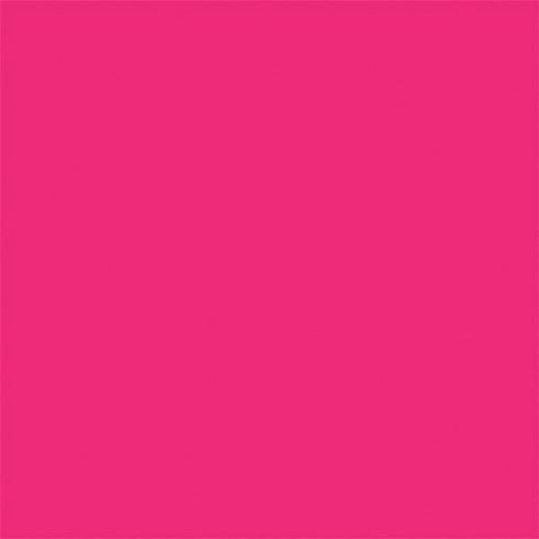 HOT Pink Solid Nintendo 2DS XL (2017) Skin